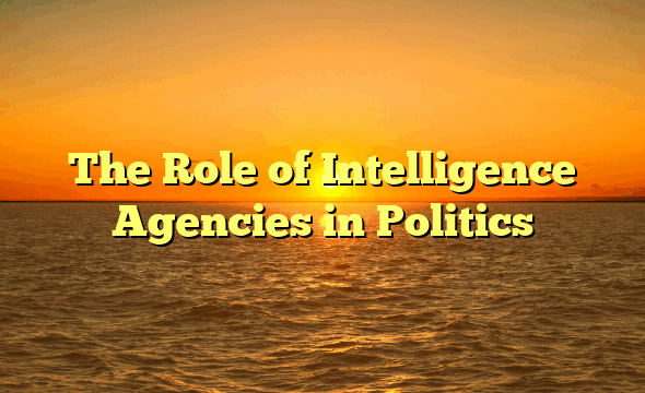 The Role of Intelligence Agencies in Politics