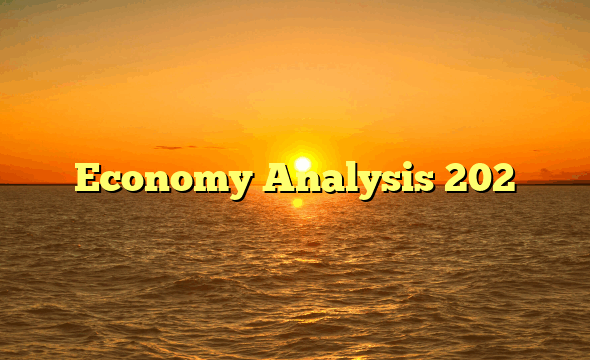 Economy Analysis 202