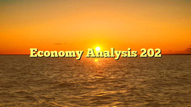 Economy Analysis 202